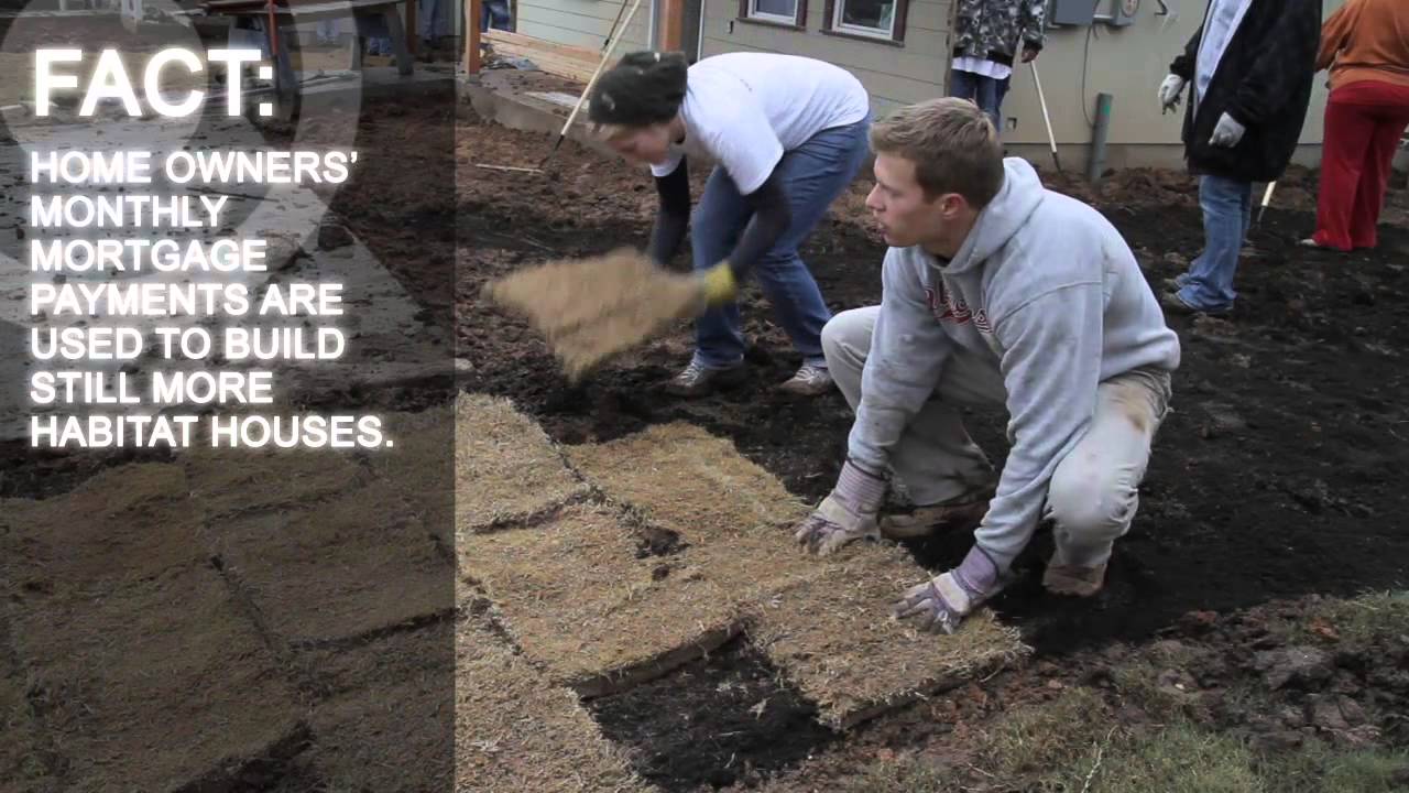 Как стать волонтером в организации Habitat for Humanity