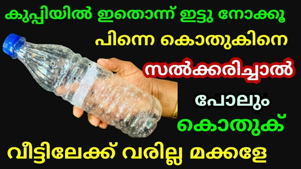 കുപ്പിയിൽ ഇതൊന്ന് ഇട്ടു നോക്കൂ പിന്നെ കൊതുകിനെ സൽക്കരിച്ചാൽ പോലും കൊതുക് വീട്ടിലേക്ക് വരില്ല മക്കളേ