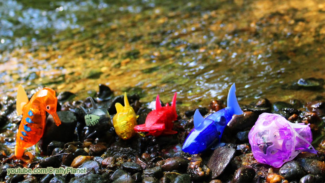 Can A Hex Bug Fish Swim in a Raging River?? Aquabot Swimming Test Review Micro Robotic Robot