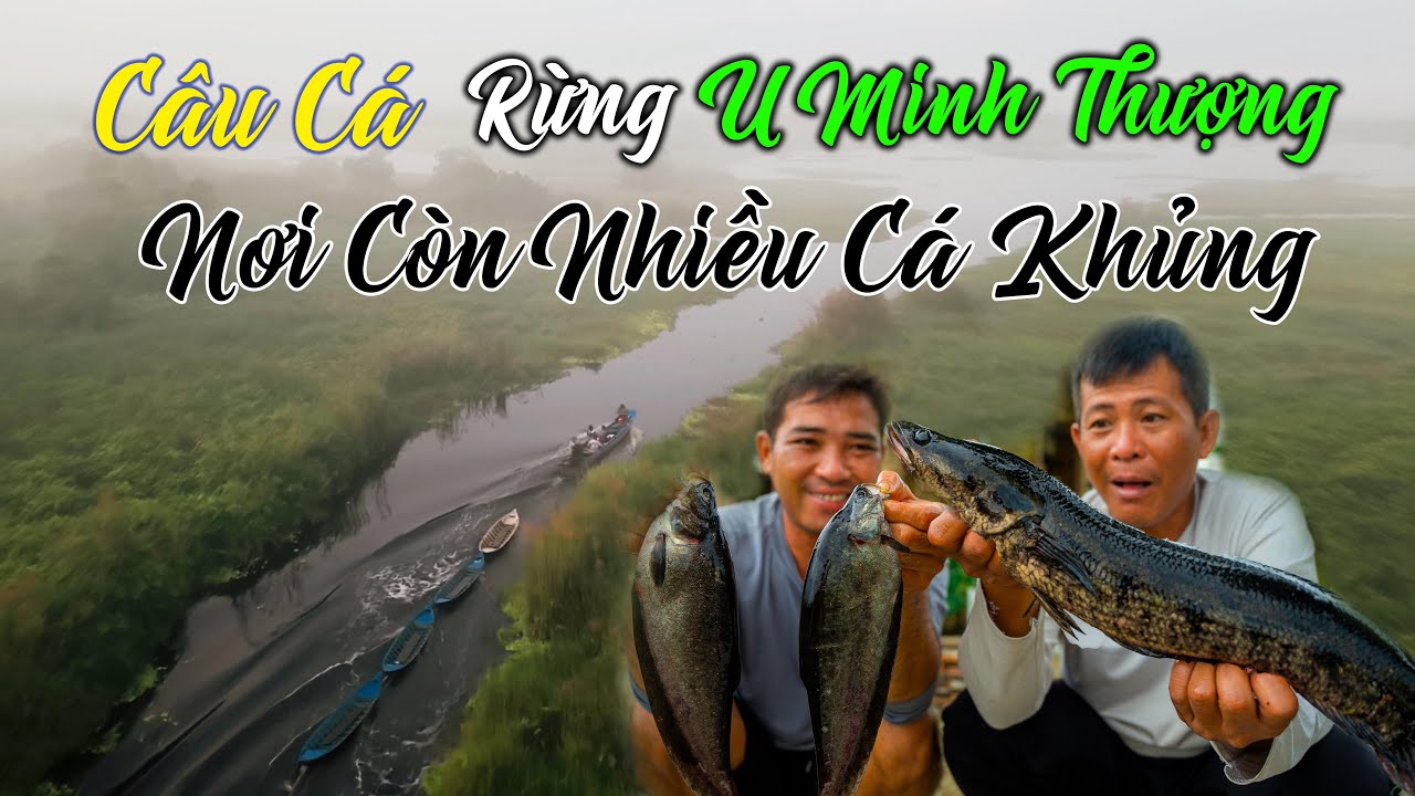 Những Loài Cá Khủng Chỉ Còn Ở Rừng U Minh Thượng | Tập 41