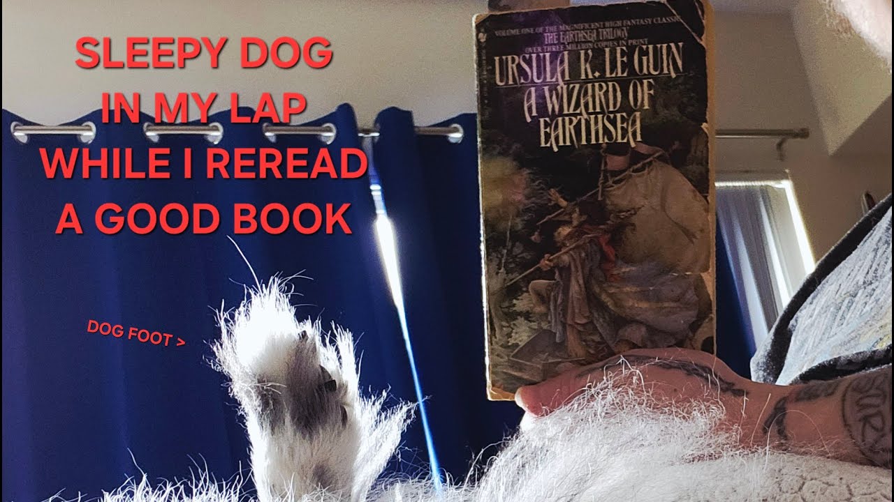 a reader acting as a vessel for naptime reads