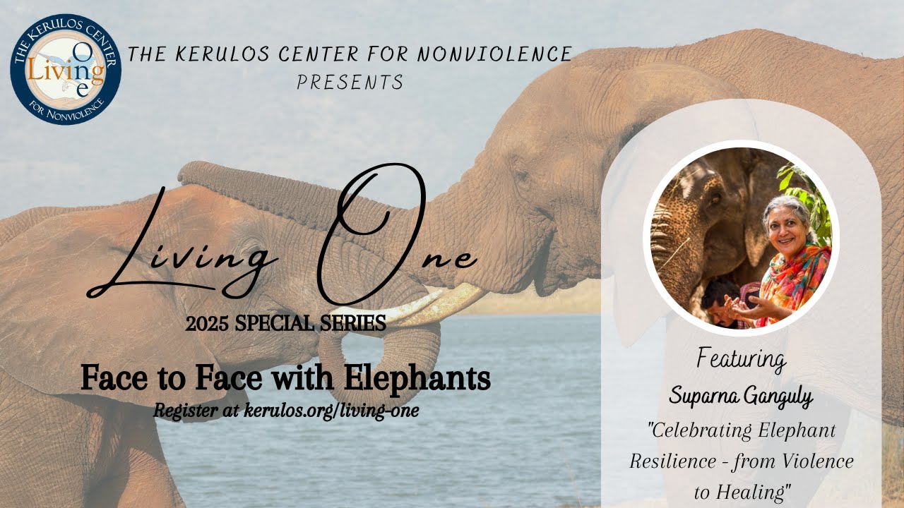 Living One - Suparna Ganguly