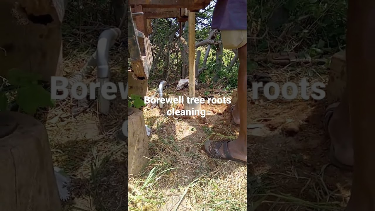 Borewell tree root cleaning