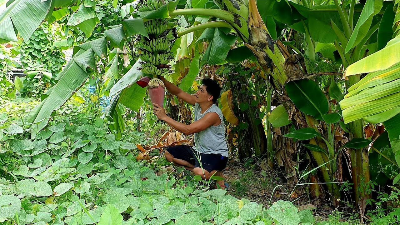 DINENGDENG NA PUSO AT SALUYOT as per request | PAGKAING BUKID | OUTDOORCOOKING |Team AgustinTV