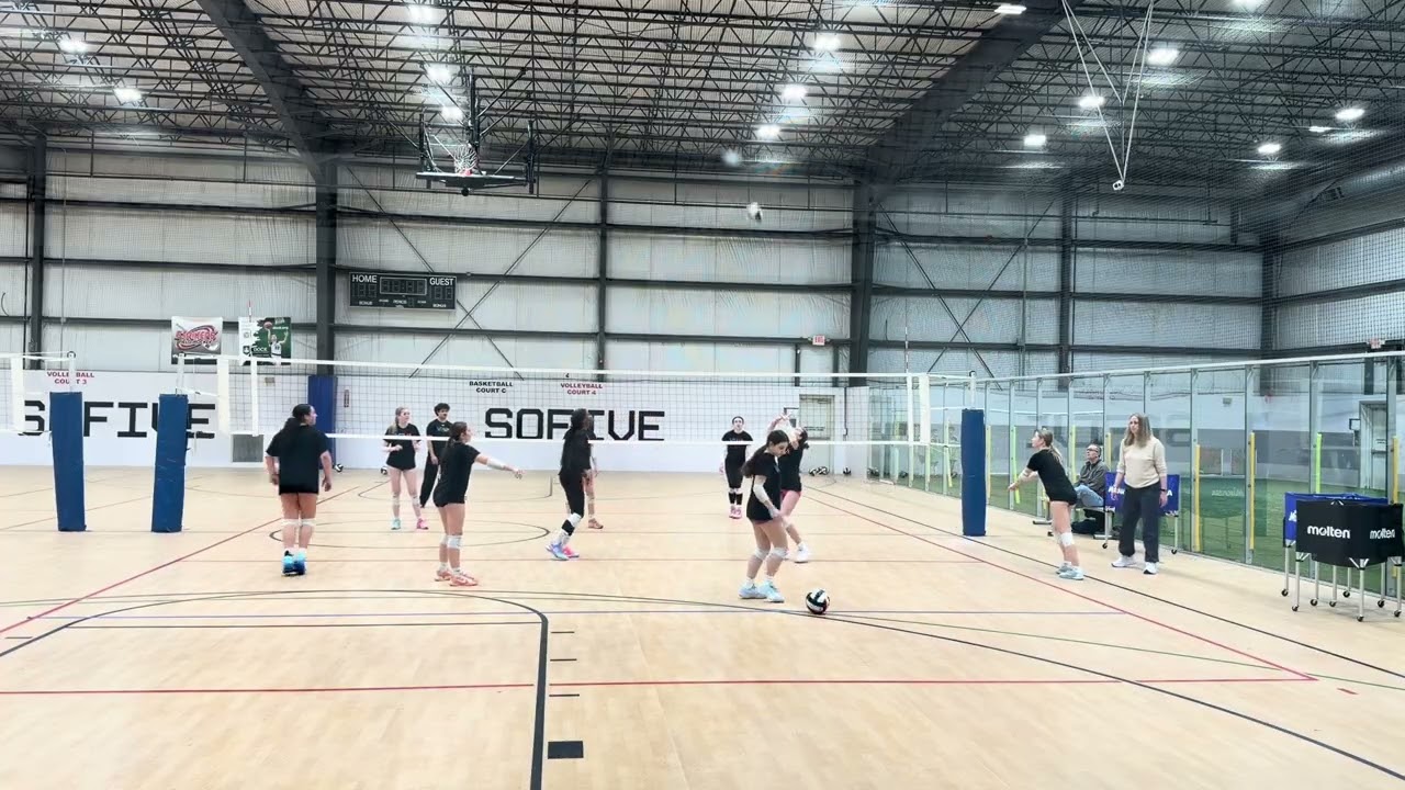 Practice 2/24