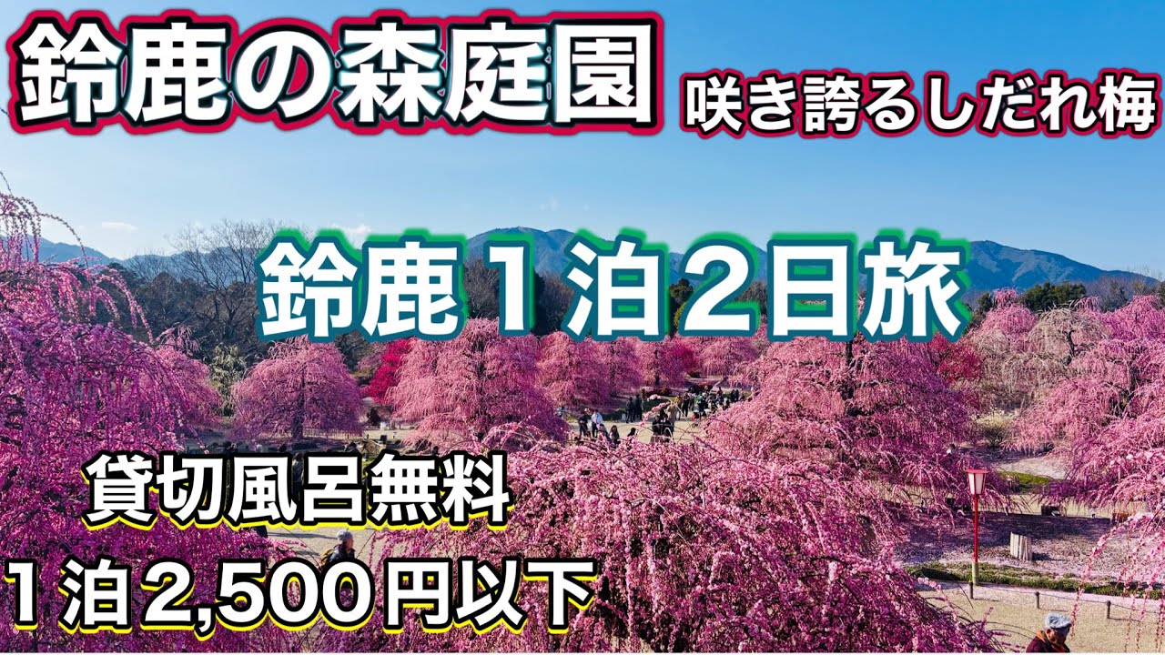 《三重》一度は見たい約200本の名木圧巻のしだれ梅🌸鈴鹿の森庭園　貸切風呂入り放題♨️キャッスルイン鈴鹿中央