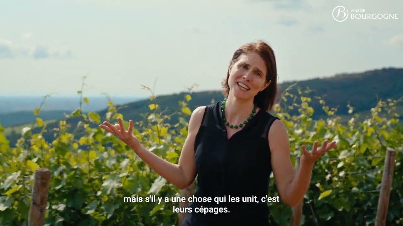27 raisons d'aimer les Mâcon : voyage au cœur du terroir de chaque dénomination (sous-titrage FR)