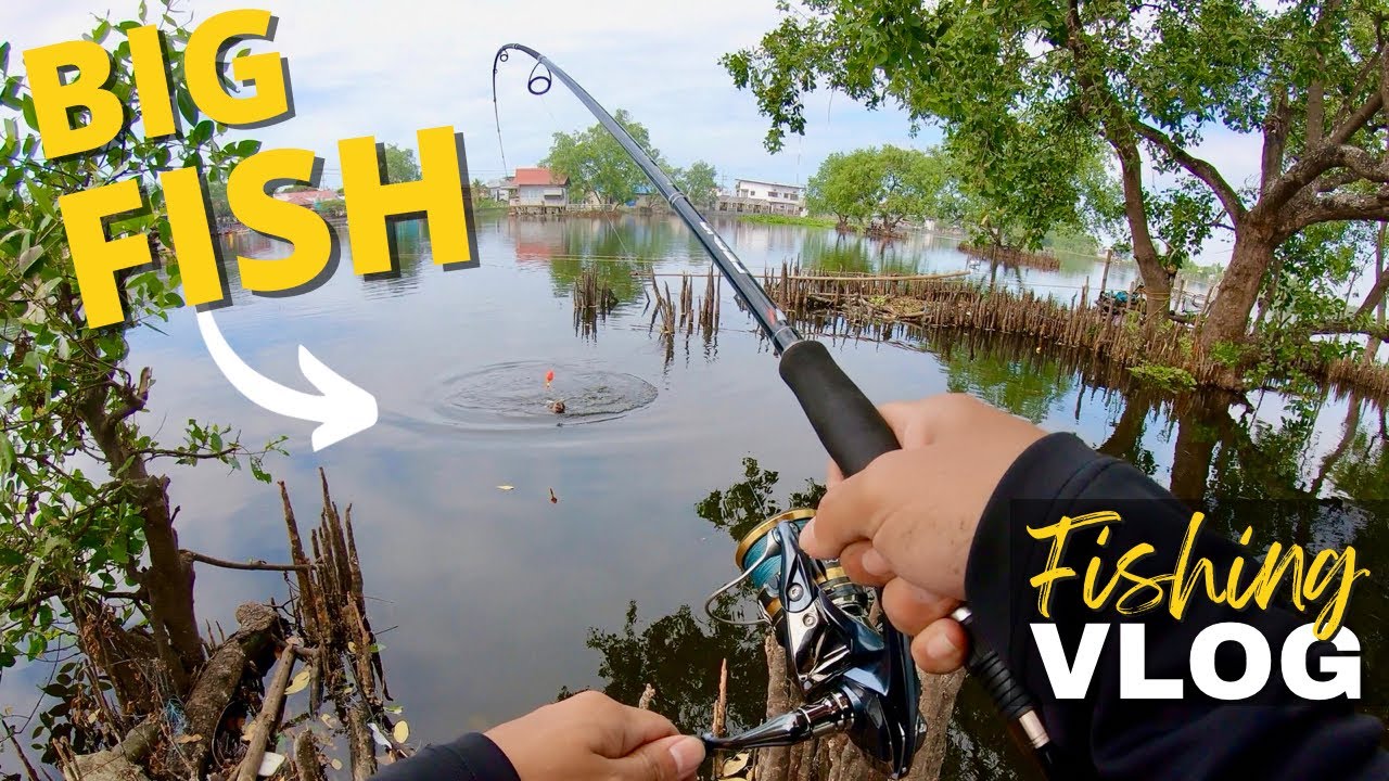 Pond FISHING Big Tilapia | Y2E45