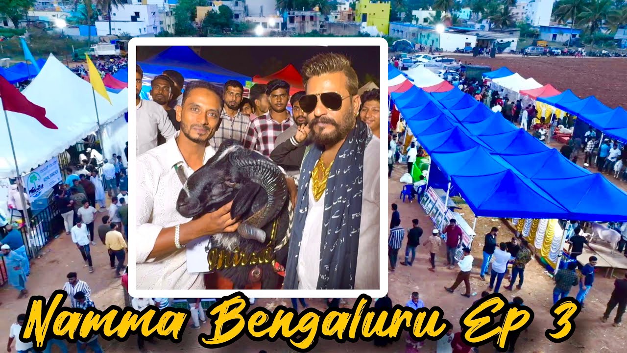 Bangalore Sheep & Goat Expo 2025 Ep 3 with MD Goat Farm ~ Namma Bengaluru