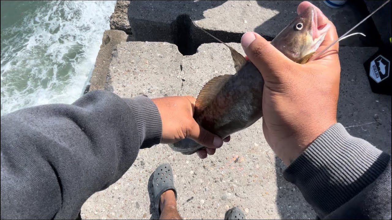 Primera vez pescando al vuelo, Pesca de varias especiess!!!!