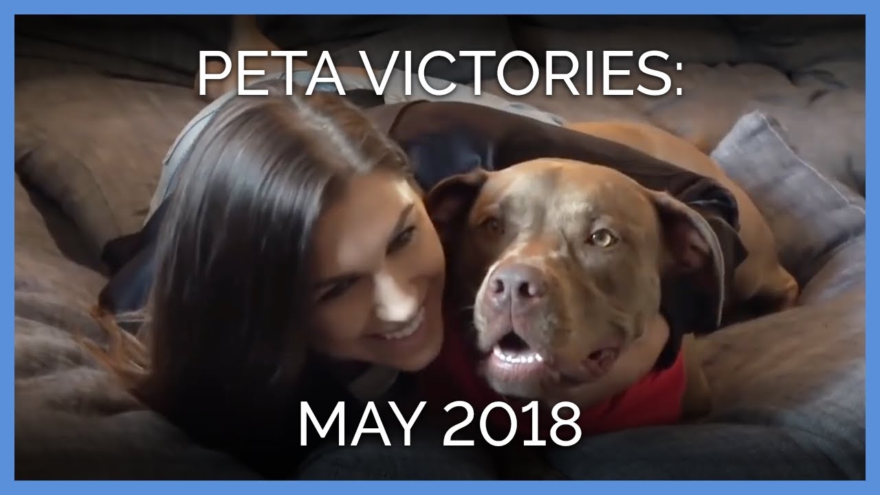 8 Ways PETA Dominated May!