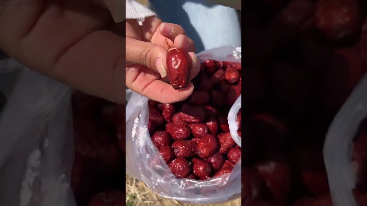 So Satisfying! 📦 Fresh Jujube (Ber) Packing from the Farm 🍒❤️ 