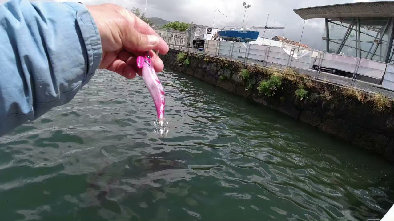 PESCANDO SEPIAS CON DTD X EGI🐙🐙 ( VILAGARCIA )
