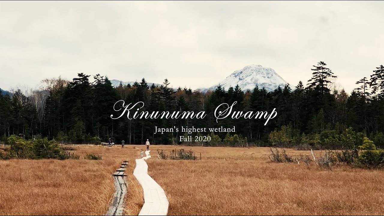 トレッキングvlog 鬼怒沼湿原 Kinunuma Swamp - Japan's highest wetland
