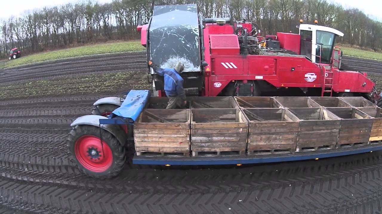 aardbeien rooien 2015