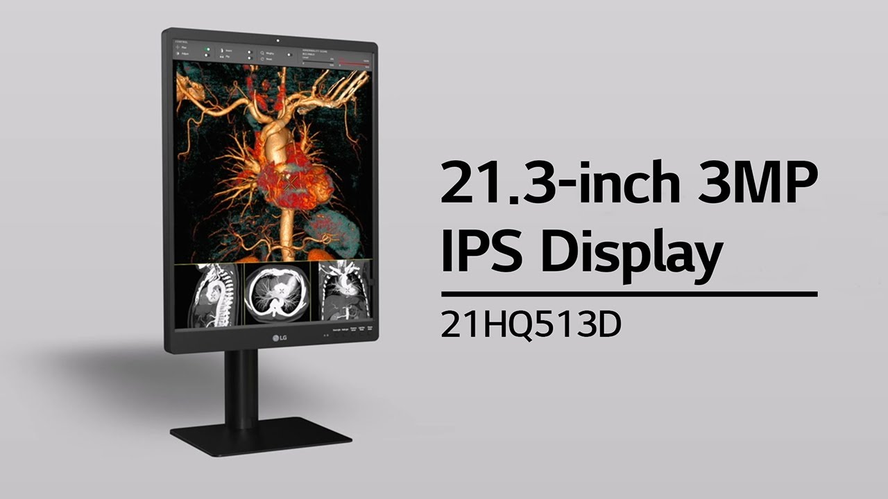 LG Medical Display - 21HQ513D  (21.3