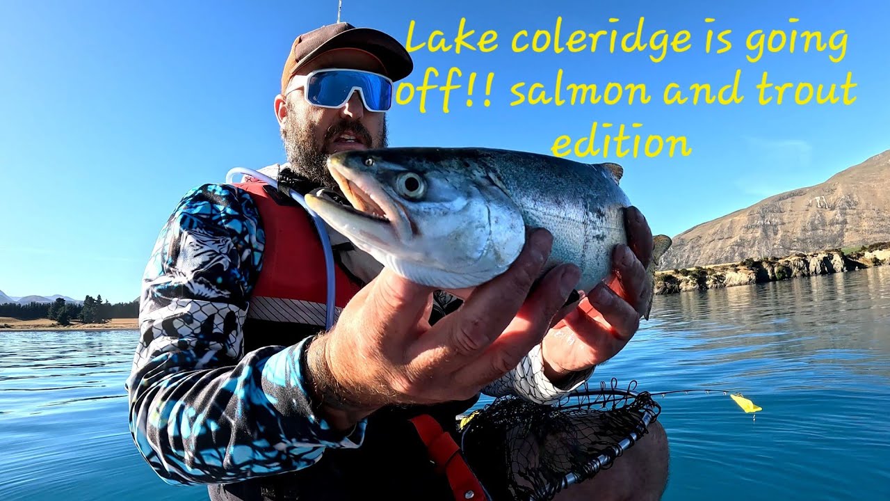 Epic fishing day down at the lake. Heaps of salmon and trout....
