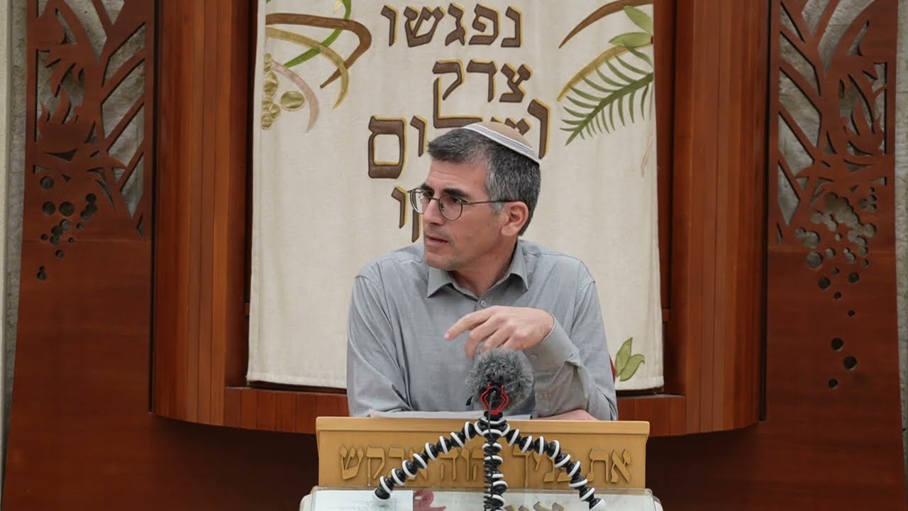 הרב חיים וולפסון | חרבות ברזל - מלחמת מצוה 1