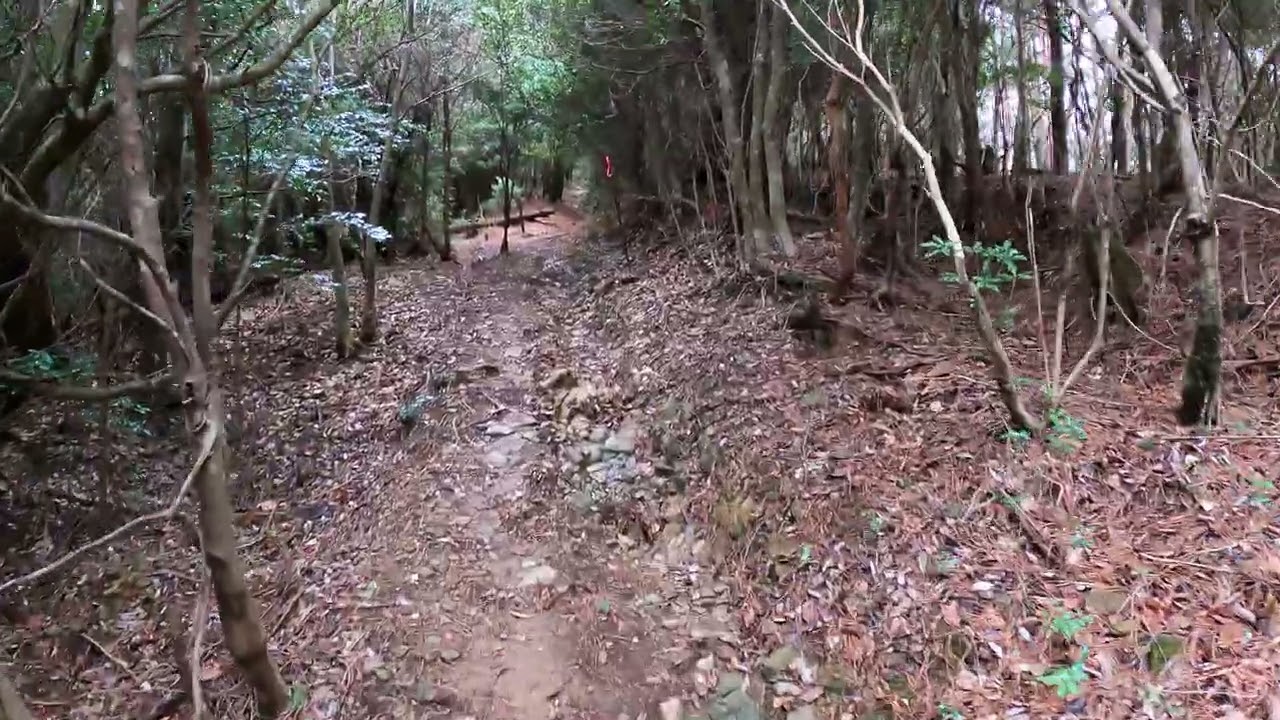 四本松　頂上の風景