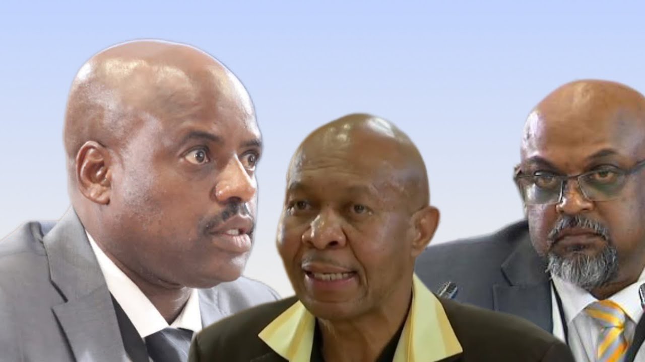 WATCH | Adv Behari, If Mapiyeye struggled, MMC could have helped with Mkhwanazi case