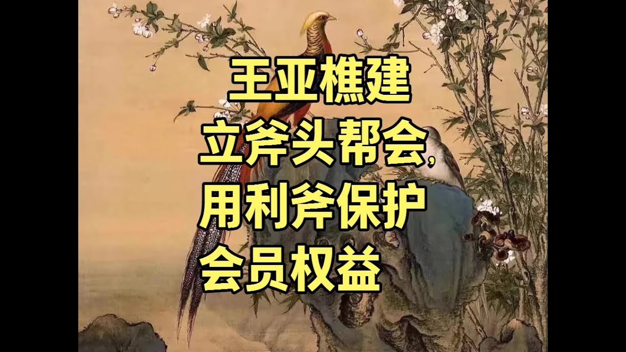 王亚樵建立斧头帮会，用利斧保护会员权益 #民国往事 #暗杀大王王亚樵
