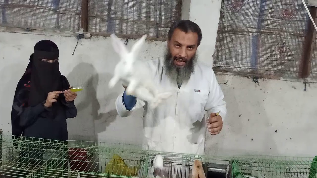 ارانب الخير ادي الفيروسي سهل وبسيط،،، 14