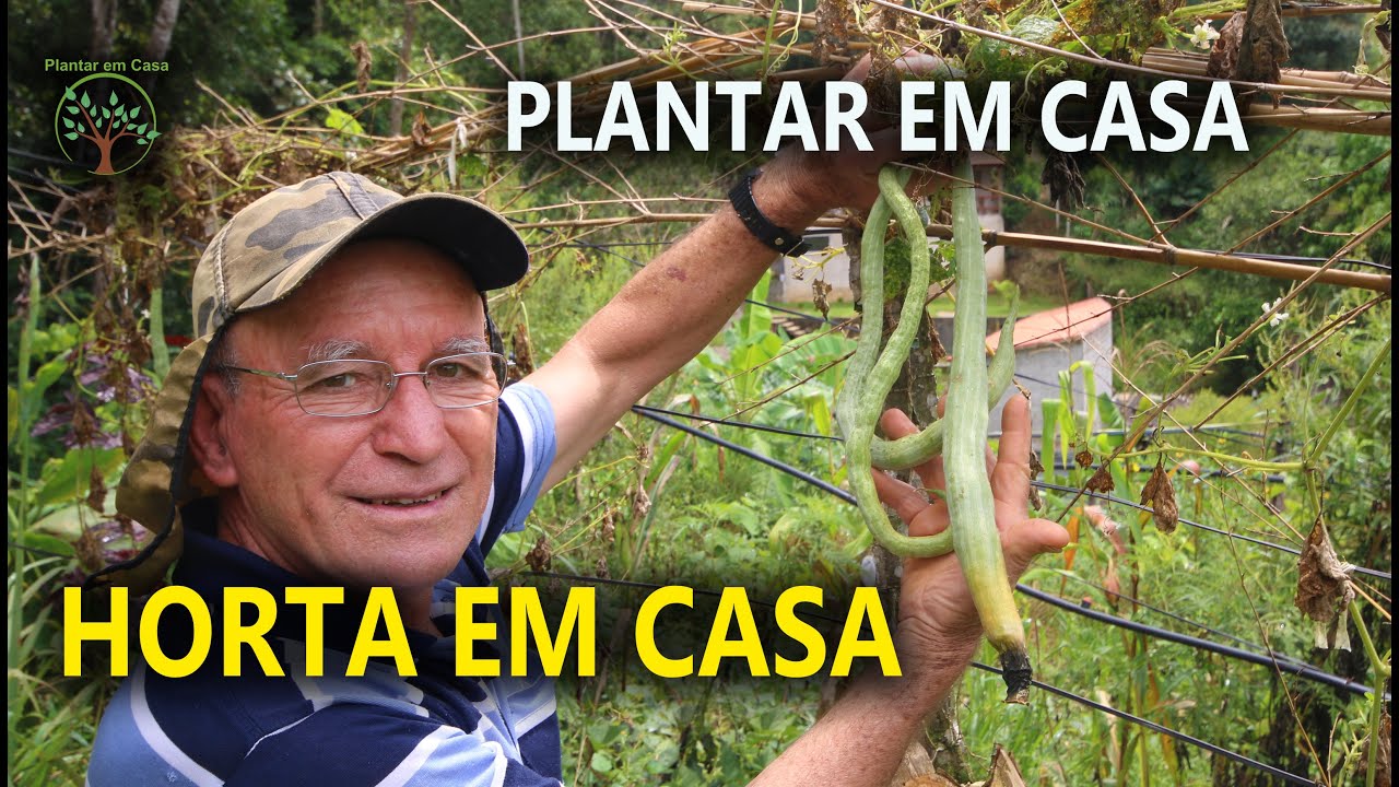 Feijão, Bucha de metro, Cara moela, Hortas e Cultivos com Mario Terlechi no Plantar em Casa