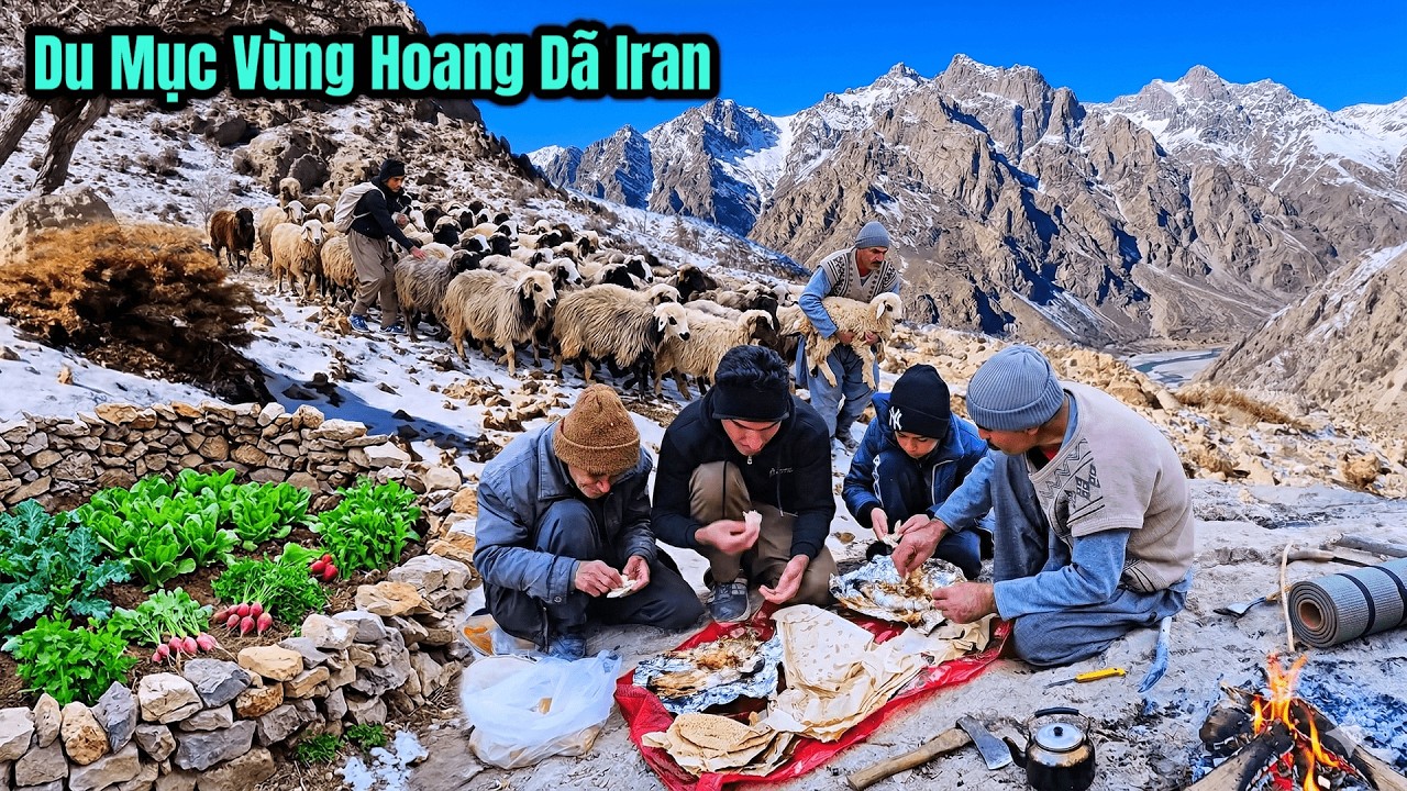 Cuộc Sống Du Mục Iran - CHĂN CỪU Đ&Aacute;NH C&Aacute; Trong Hoang D&atilde; Khắc Nghiệt