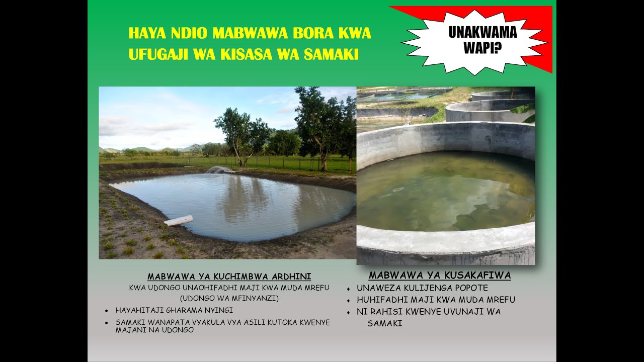 UFUGAJI WA SAMAKI (AINA ZA MABWAWA YA SAMAKI)