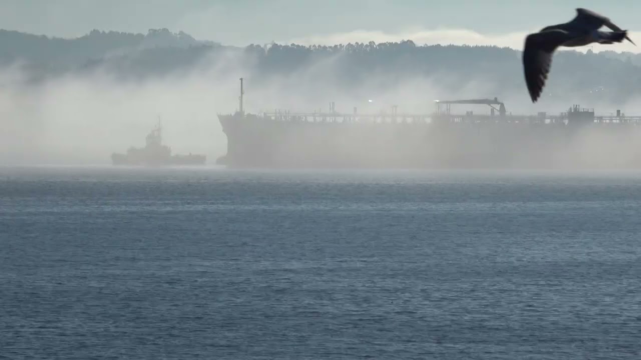 BARCOS EN LA NIEBLA en A Coruña      21012026