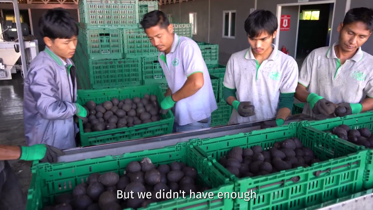 Powering Myanmar's First Avocado Oil Factory