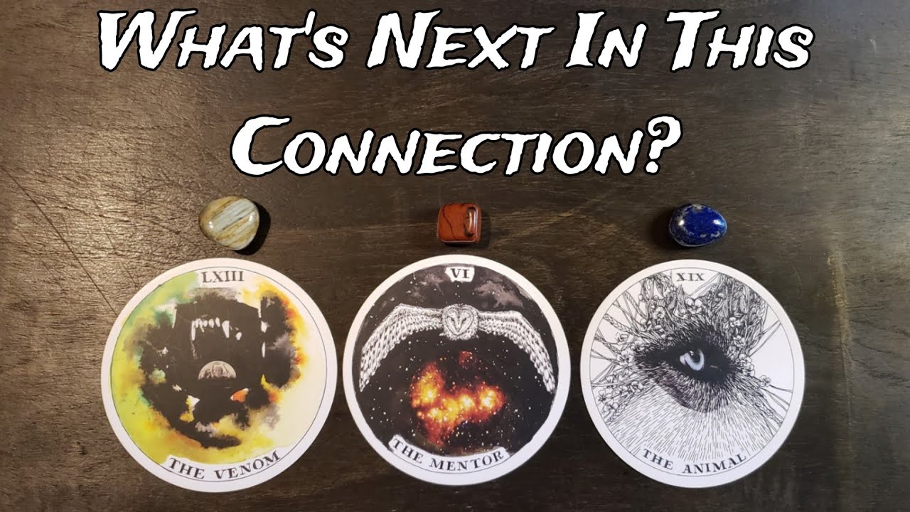 🌟💕 What's Next In This Connection? 😵❤ Pick A Card Love Reading