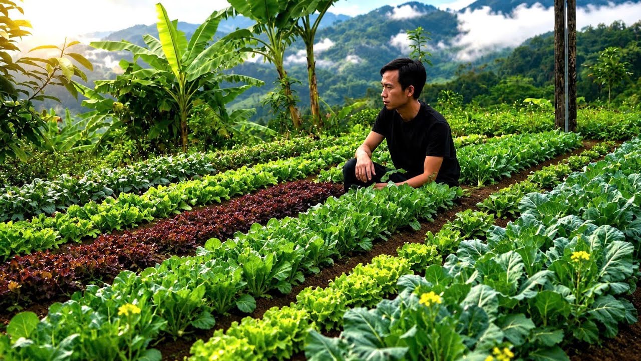 Leaving the Stressful City, CEO Returns to the Mountains to Expand Farm and Raise Pets.