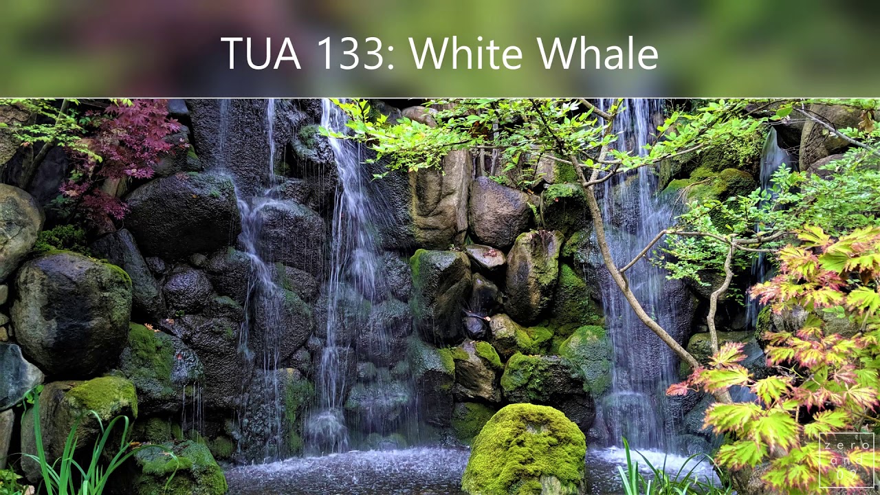 TUA 133: White Whale