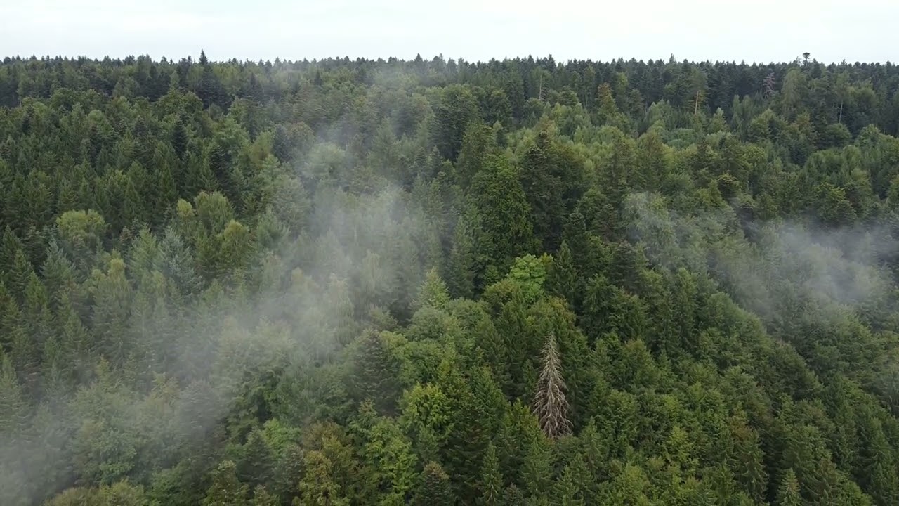 dji mini SE, Flug an der Alexanderschanze