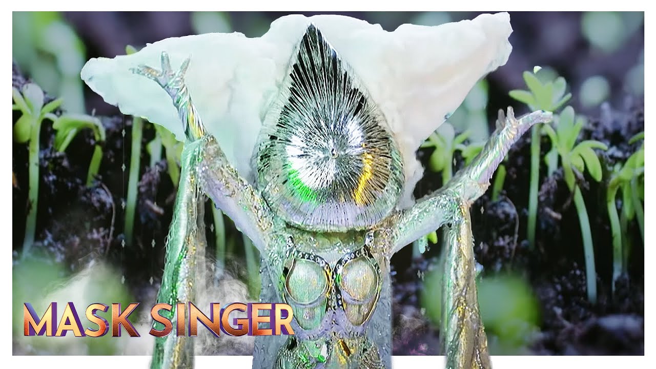 TO BYŁY NAJLEPSZE MOMENTU DESZCZU W MASK SINGER!