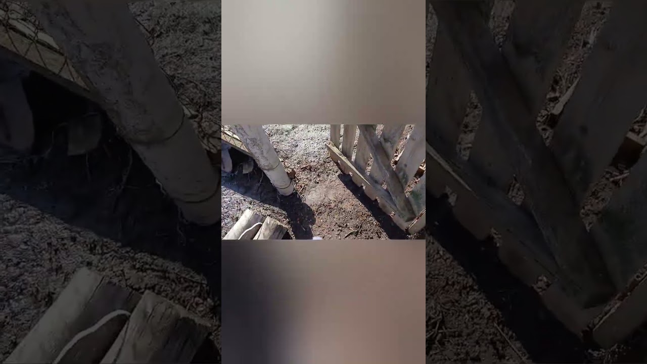 Небольшой обзор сделанной мной работы за этот год. Но это ещё не все ... 