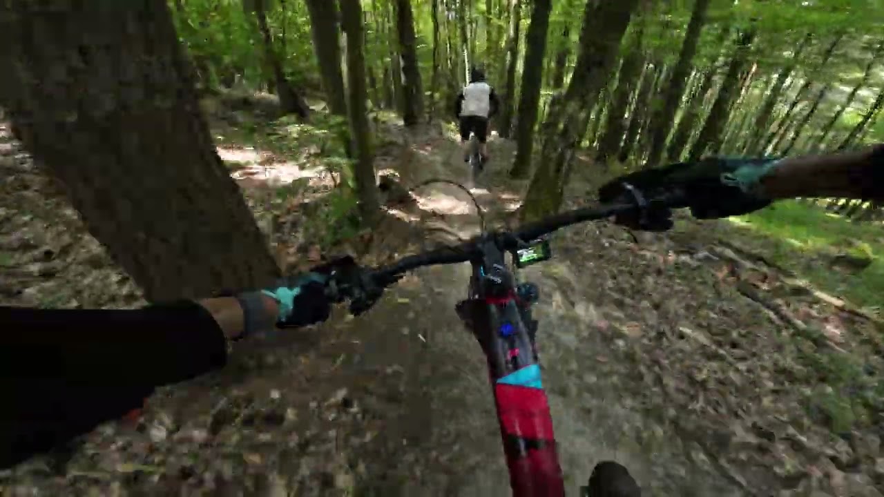 Bike Park Tromeja (SLO)