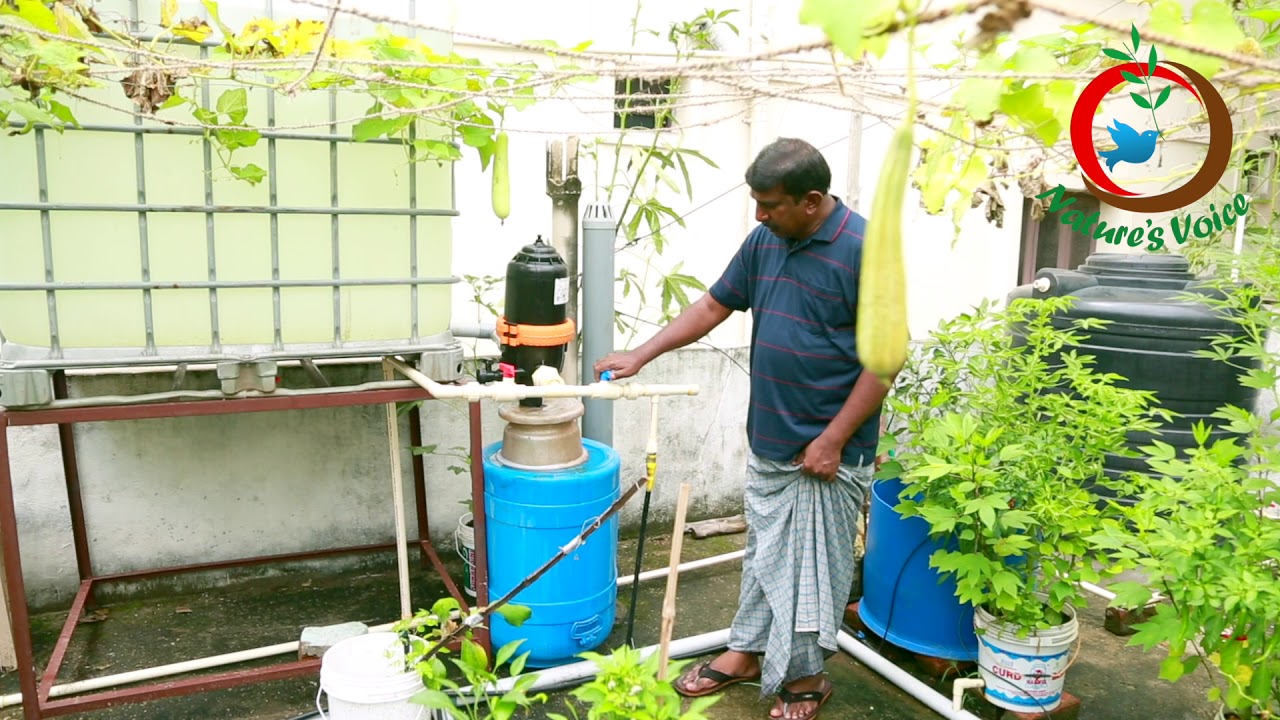 Grow Your Own Food II Intensive Fish Farming on Terrace