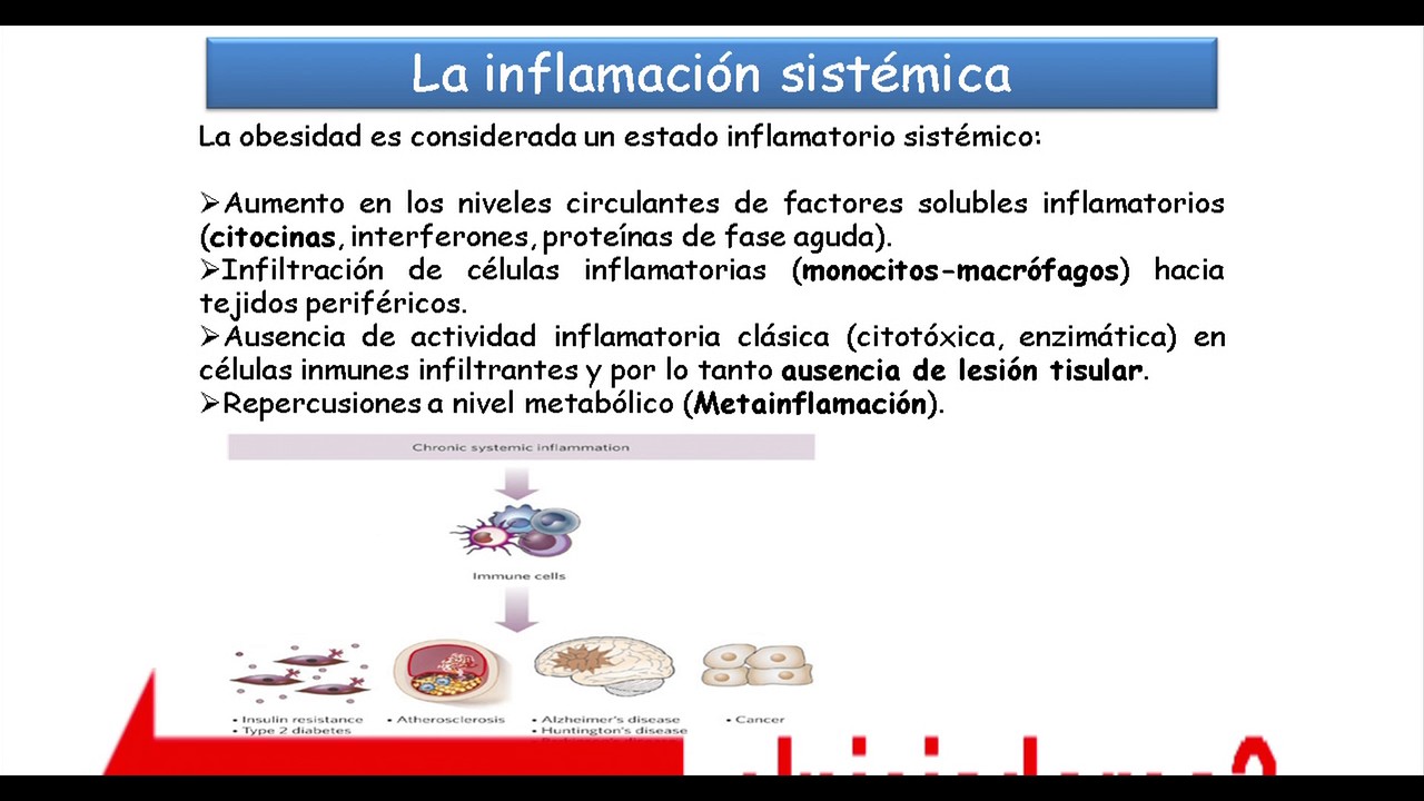 Ácidos grasos como iniciadores de la respuesta inflamatoria