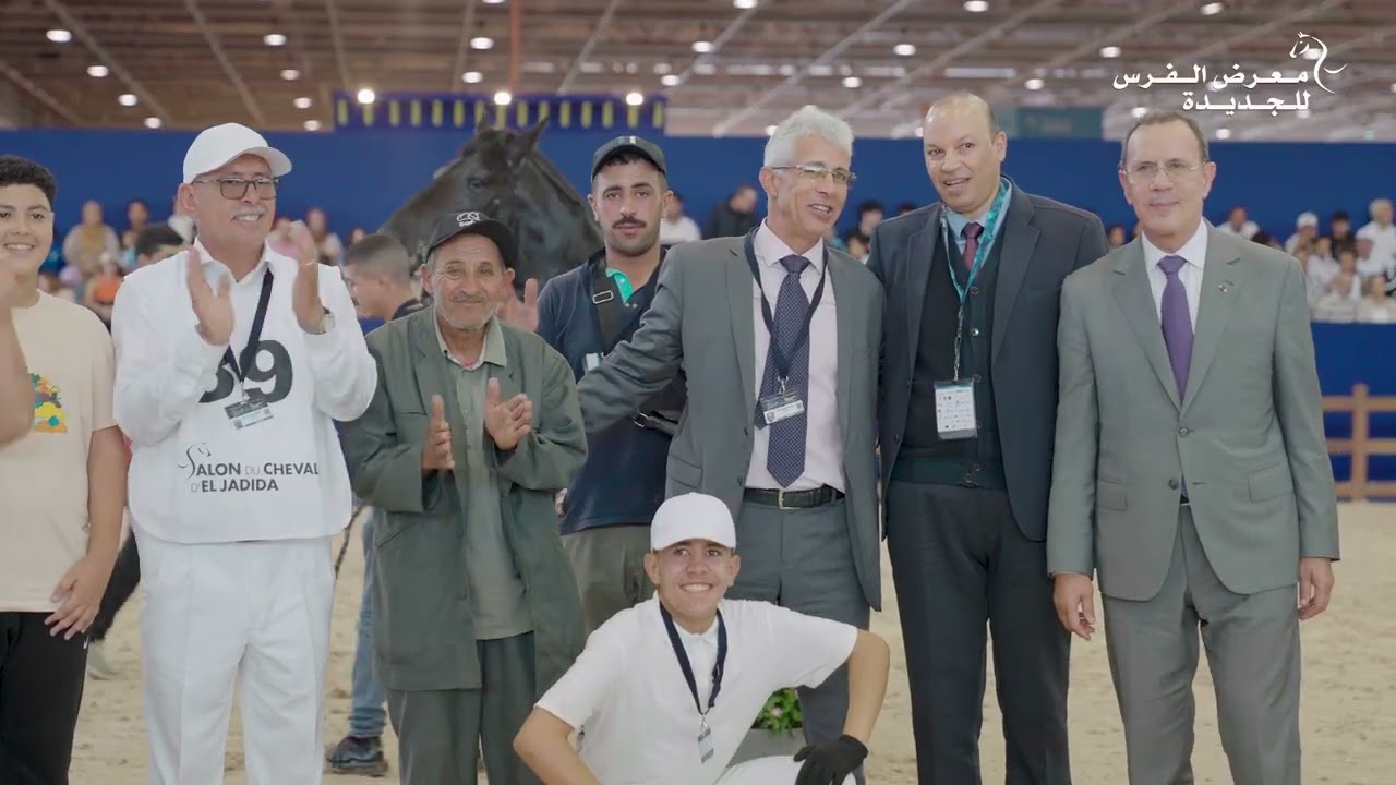 Salon du Cheval d'El Jadida : La beauté des Chevaux Arabe Barbes