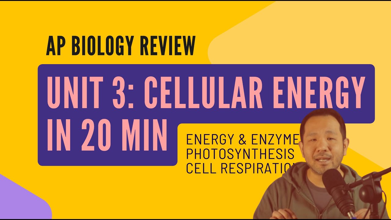 AP Biology: Модуль 3 по энергетике за 20 МИНУТ!