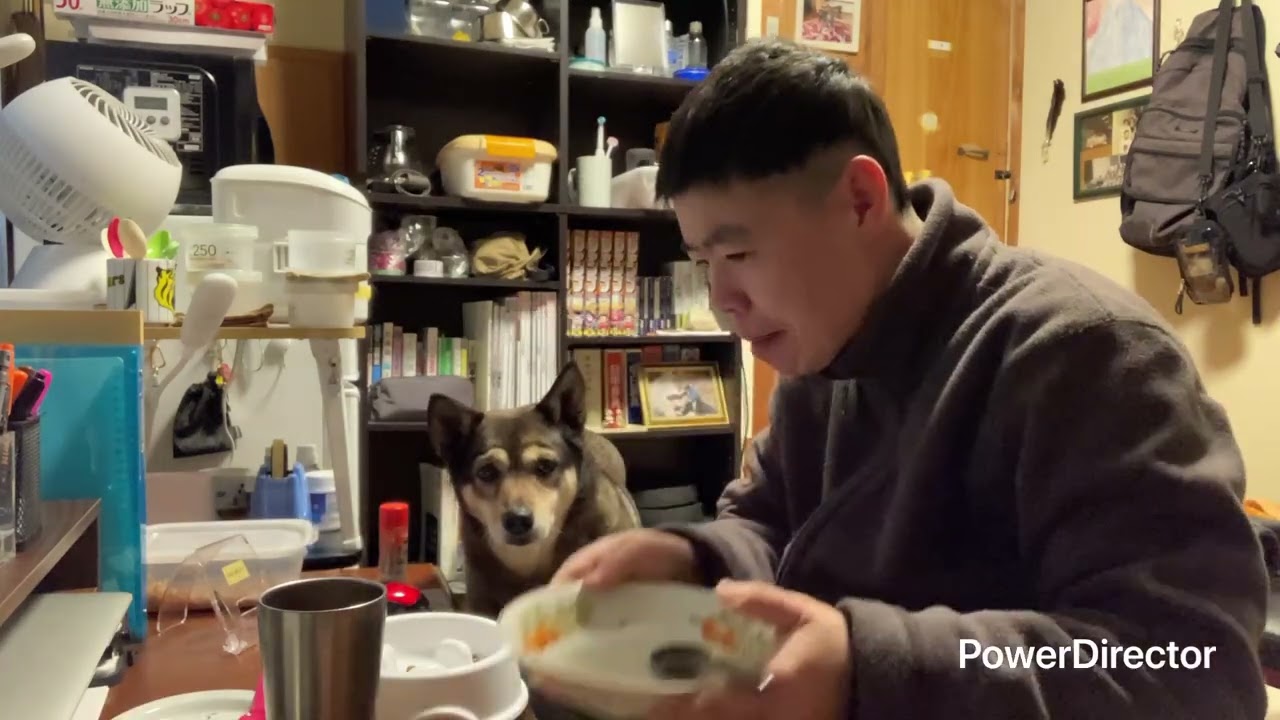 2026.2.10.晩飯,統合失調症,FTM,ミックス中型犬ラッキー,