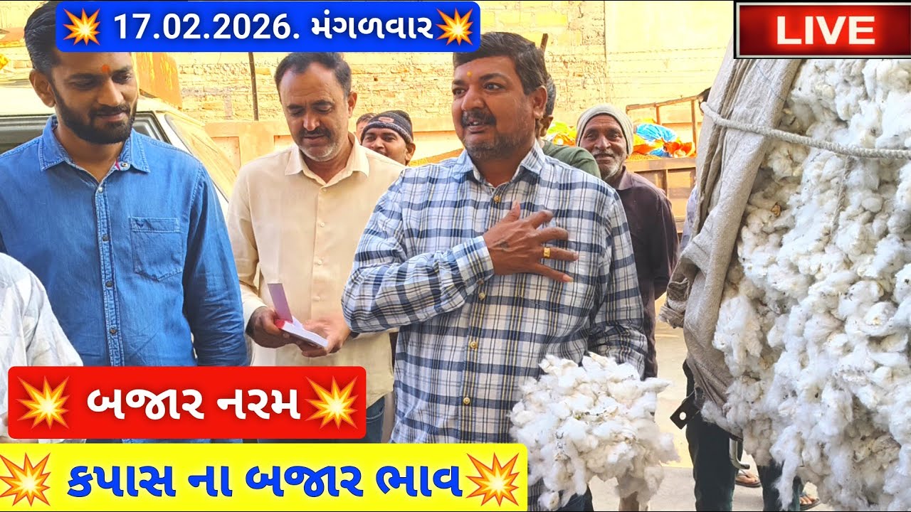 🔴live કપાસ ના બજાર ભાવ આજના જસદણ માર્કેટિંગ યાર્ડ, cotton auction price today,February 17, 2026