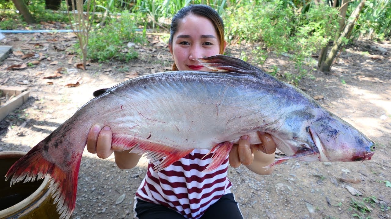Yummy Pangasius Fish Fry Ginger Cooking Soybean Past - Fish Cooking - Cooking With Sros