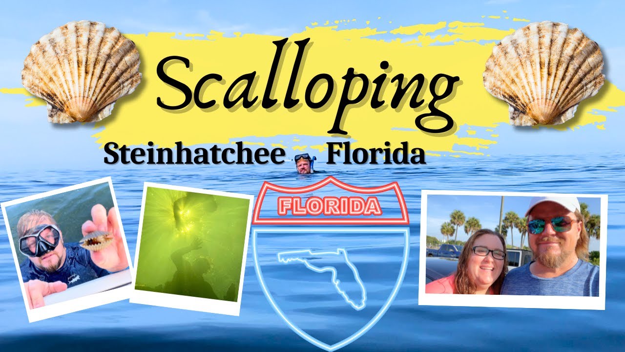 Scalloping Adventure in Steinhatchee, Florida | Family Fun and Underwater Wonders!