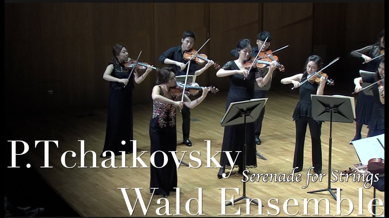 P.Tchaikovsky Serenade for Strings Op.48 - Wald Ensemble 발트앙상블