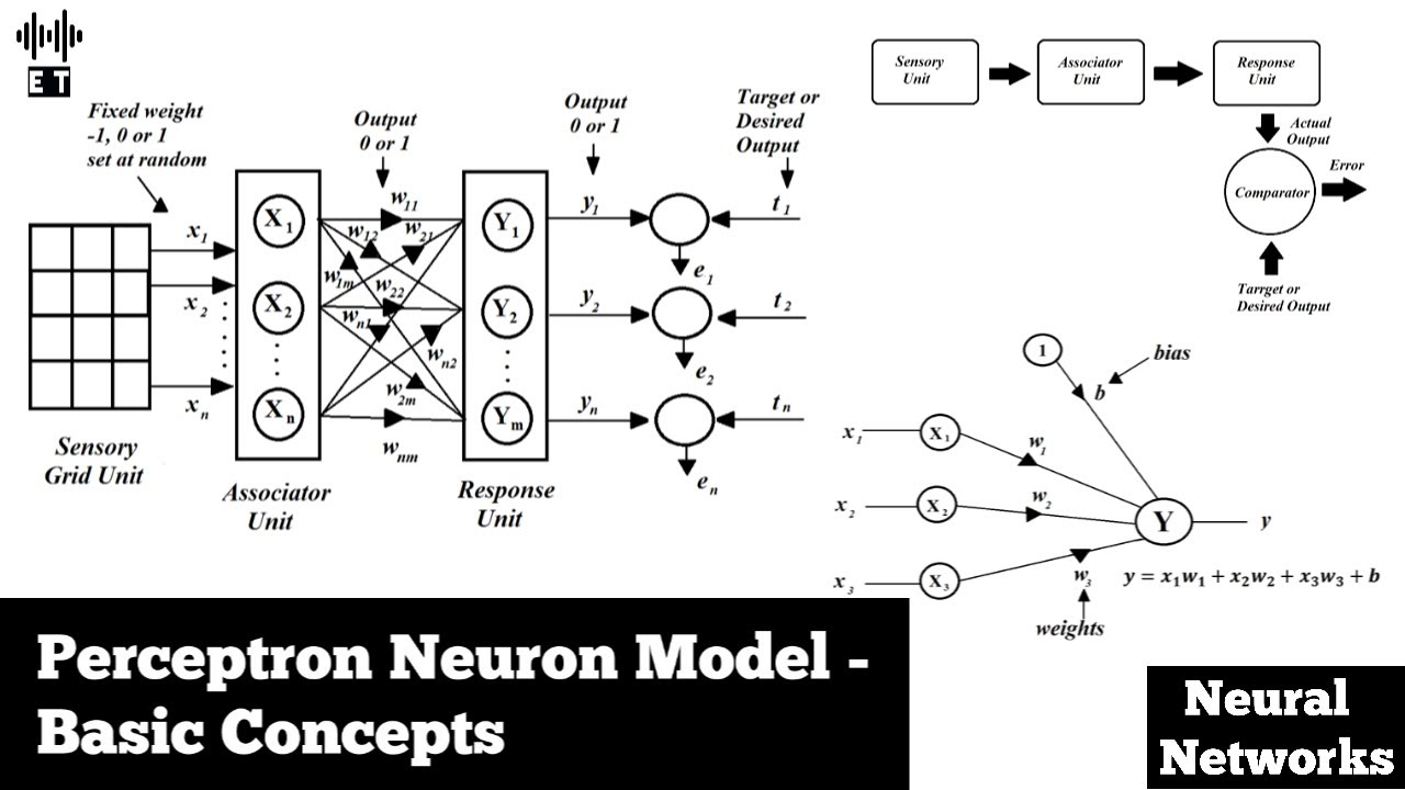 Perceptron Neural Network Model | Basic Concepts | Neural Networks
