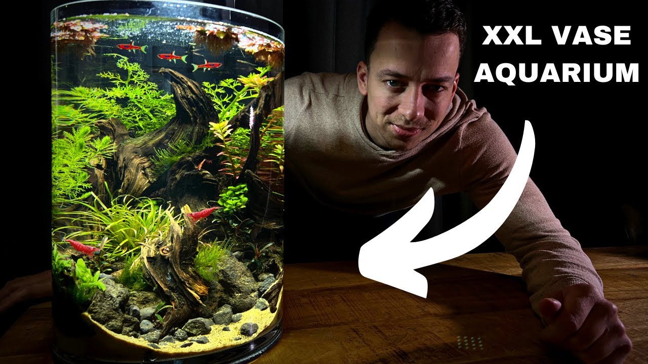 Creating A Giant No Filter Vase Aquarium - Step-by-step Aquascape Tutorial