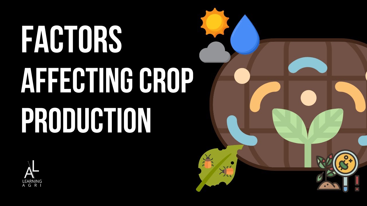 Physiological and Environmental Factors Affecting Crop Production